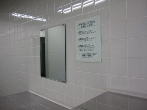 toilet_mirror1